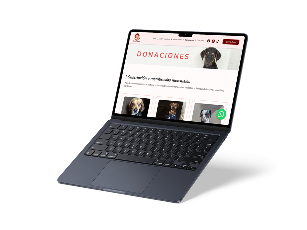 Emilia Rescata — página de donaciones
