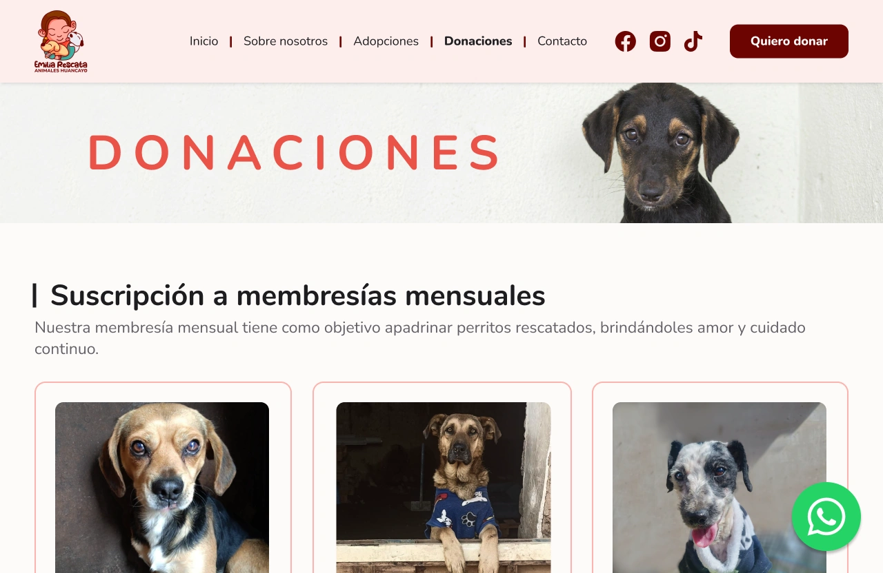 Página de donaciones de Emilia Rescata.